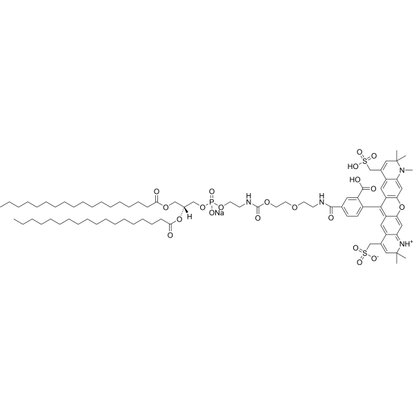 DSPE-PEG-Fluor 594,MW 2000